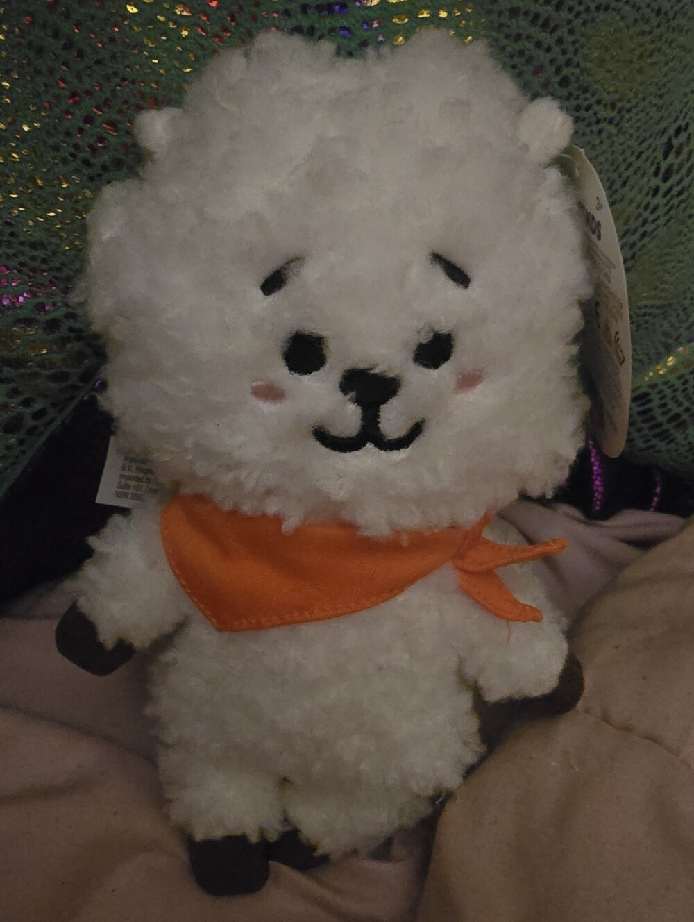 BT21 BTS LINE FRIENDS RJ Plush Stuffed Animal